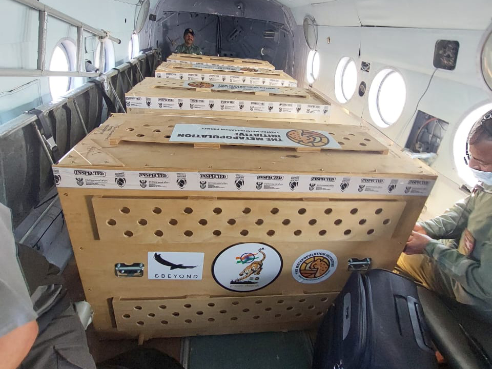 Pic: Twitter / DD News Odia