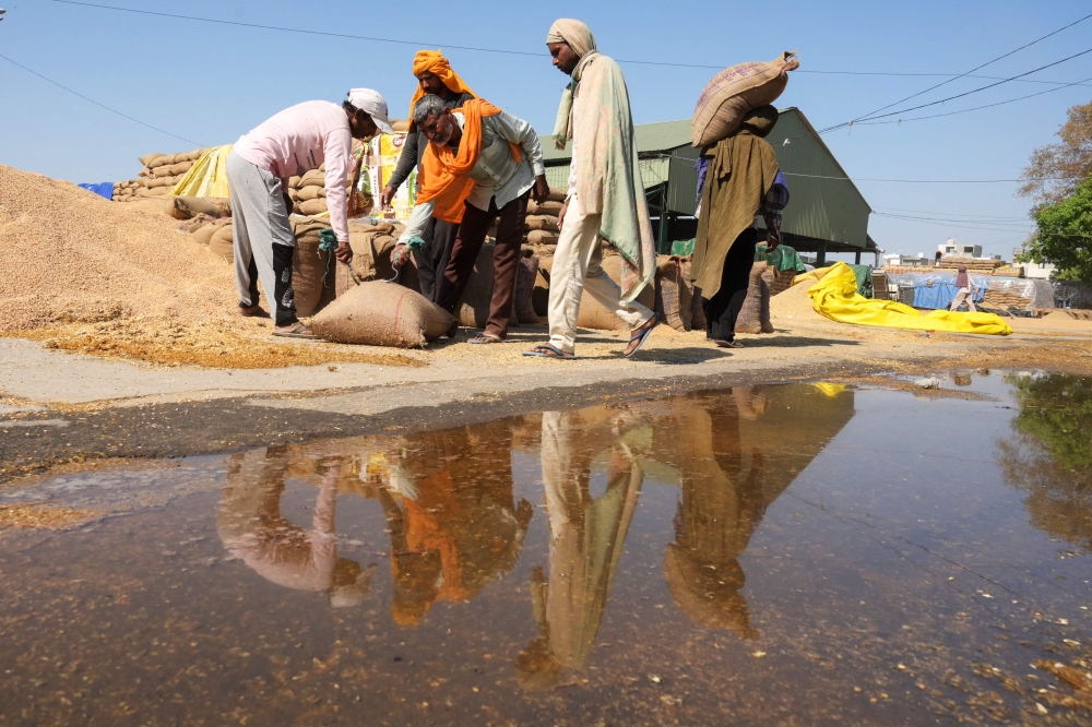 Labourers carry sacks of wheat at a wholesale market in Amritsar on May 5, 2023. (Photo by Narinder NANU / AFP)