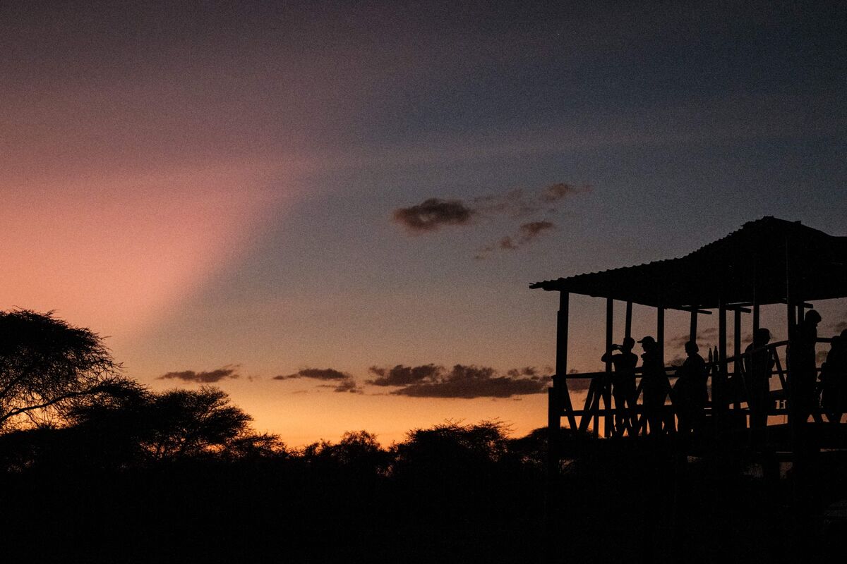 File photo: Kenya Wildlife Service is pitching investors on projects in game reserves, marine parks and the mountains, restaurants, a convention center in the capital, Nairobi, and 71 ecolodges. (Photo by Yasuyoshi Chiba/Getty Images/AFP)