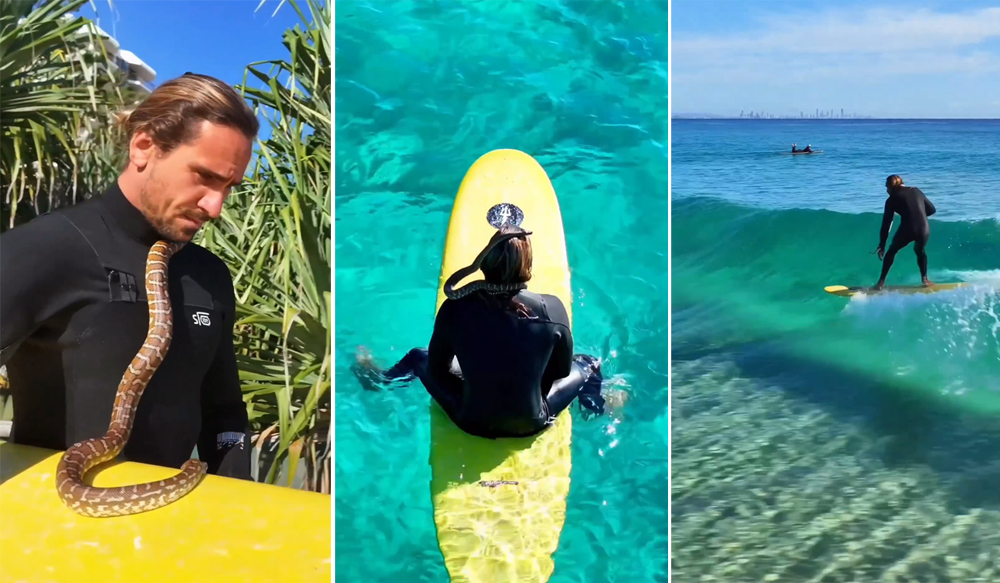 Video grab: Instagram / worldsurfers 