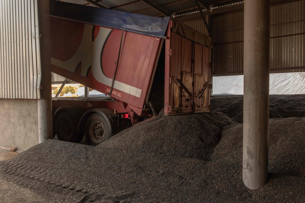 This photograph shows sunflower seeds at a collecting station, outside Kryvyi Rig on September 16, 2023. (Photo by Roman Pilipey / AFP)