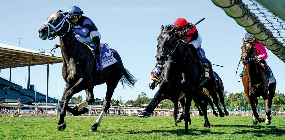 Umberto Rispoli guides Lord Bulligdon (left) towards the finish line.