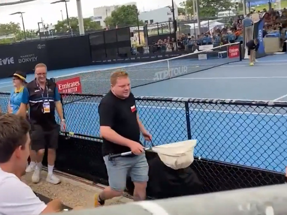 Source: X/@9NewsQueensland