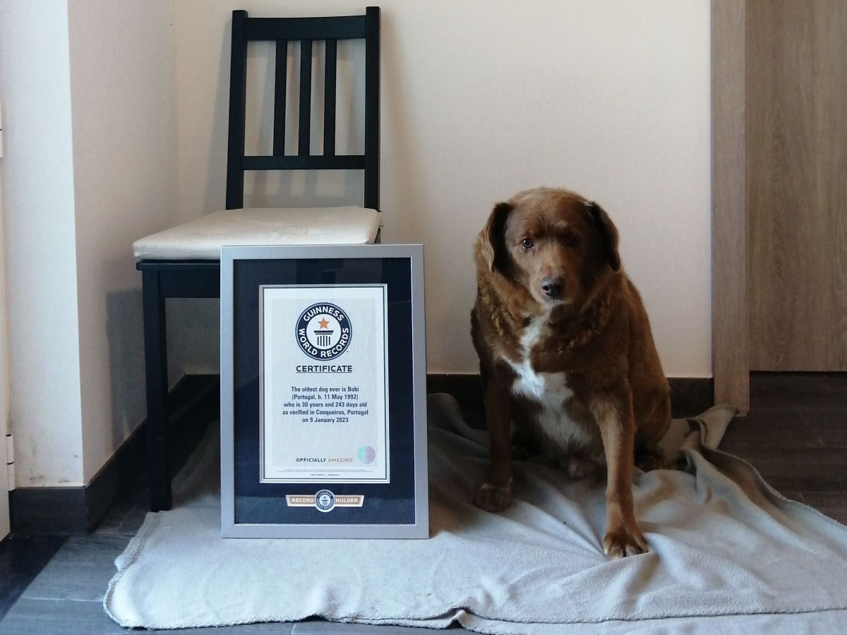 File photo used for representation only