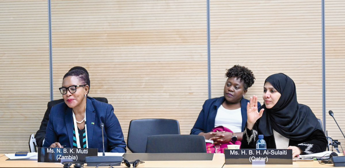 Deputy Speaker of the Shura Council and representative of the Arab Group in the preparatory committees H E Dr. Hamda bint Hassan Al Sulaiti (right) with other participants at the event.