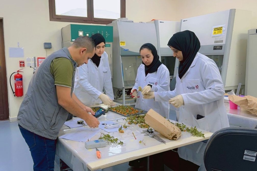 Qatar celebrates World Soil Day 