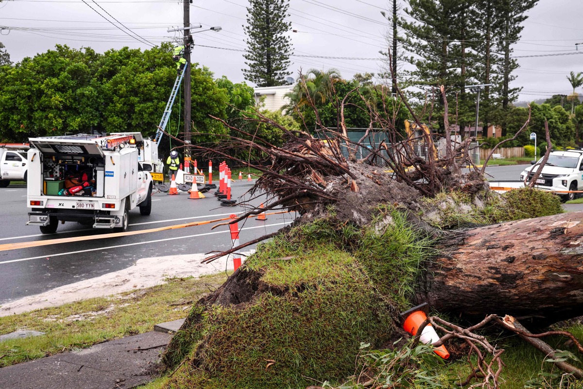 Workers fix electricity wires next to a tree uprooted by strong winds from Cyclone Alfred in the suburb of Elanora on the Gold Coast on March 8, 2025. Cyclone Alfred weakened into a tropical low on March 8 but still threatened to unleash major floods on swollen rivers as it approached the rain and wind-lashed eastern coast of Australia. (Photo by DAVID GRAY / AFP)
