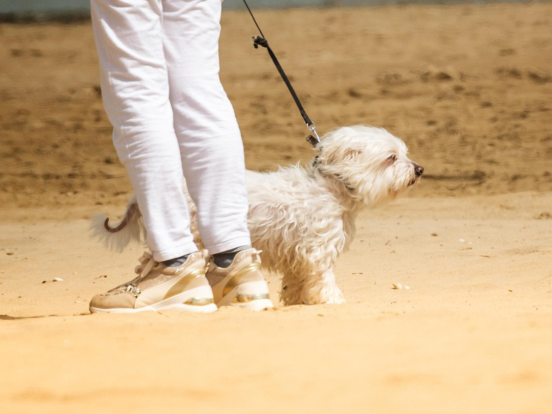 Representational image