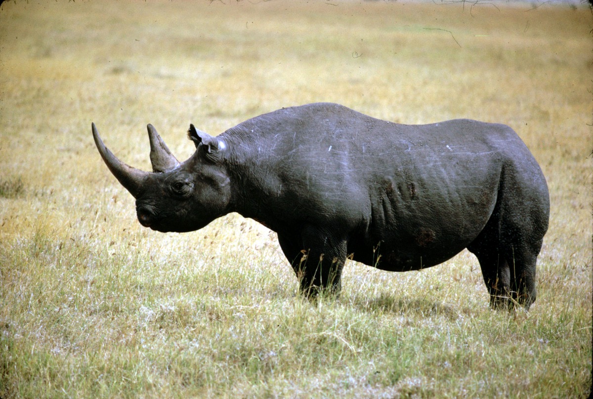 Representational image