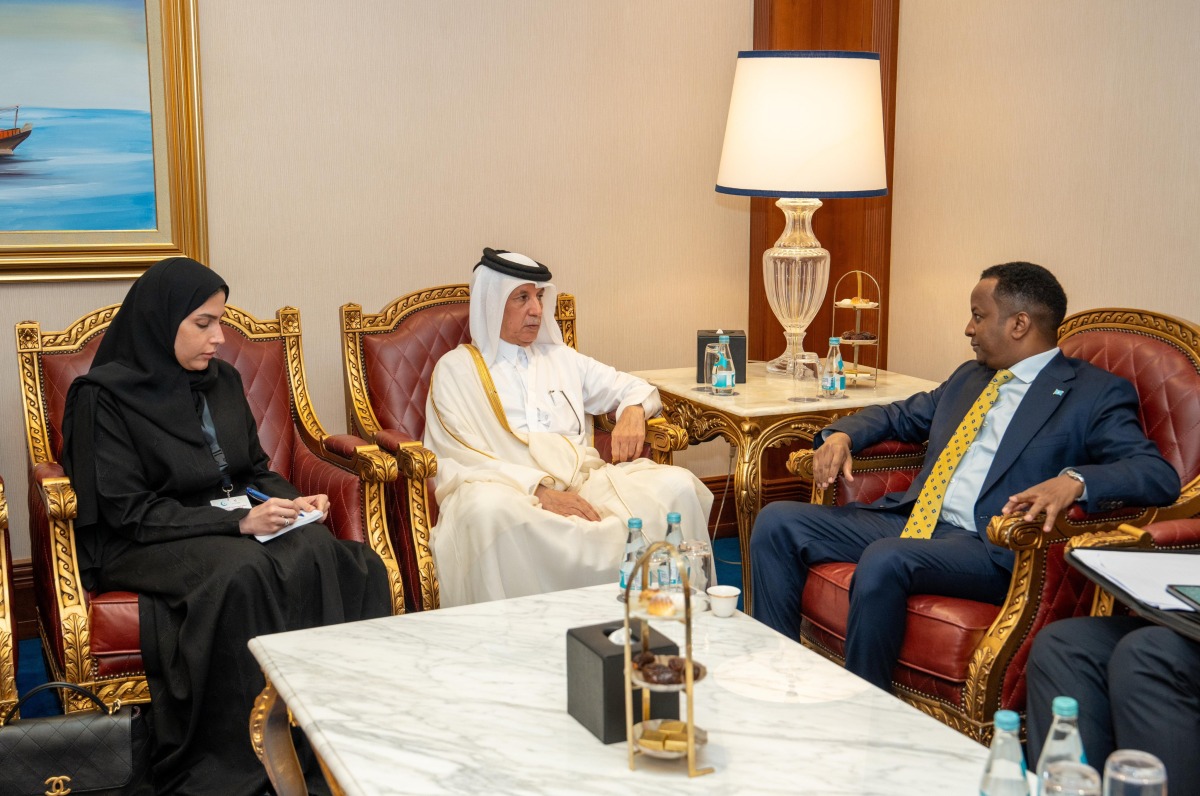 Minister of State for Foreign Affairs meets Somali Foreign Minister