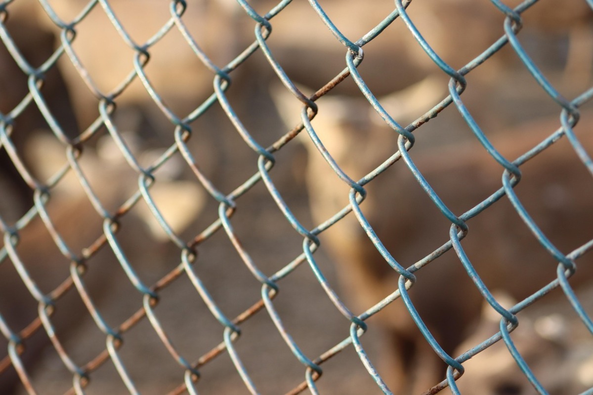 Representational image