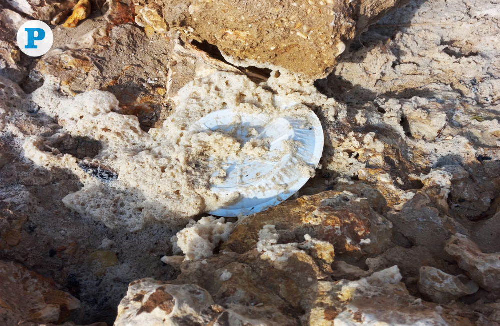 Ministry reminds residents to properly dispose of waste in designated bins to help keep Qatar's beaches and islands clean. Pic: Marivie Alabanza / The Peninsula