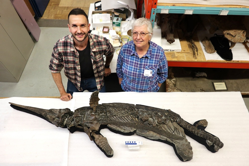 This undated handout image received in London from The University of Manchester on October 10, 2025 shows, Dr Dean Lomax (L) and Professor Judy Massare (R) posing beside the skeleton of the newly named sword dragon ichthyosaur, Xiphodracon goldencapensis, at the Royal Ontario Museum, Toronto, Canada. (Photo by University of Manchester / AFP)