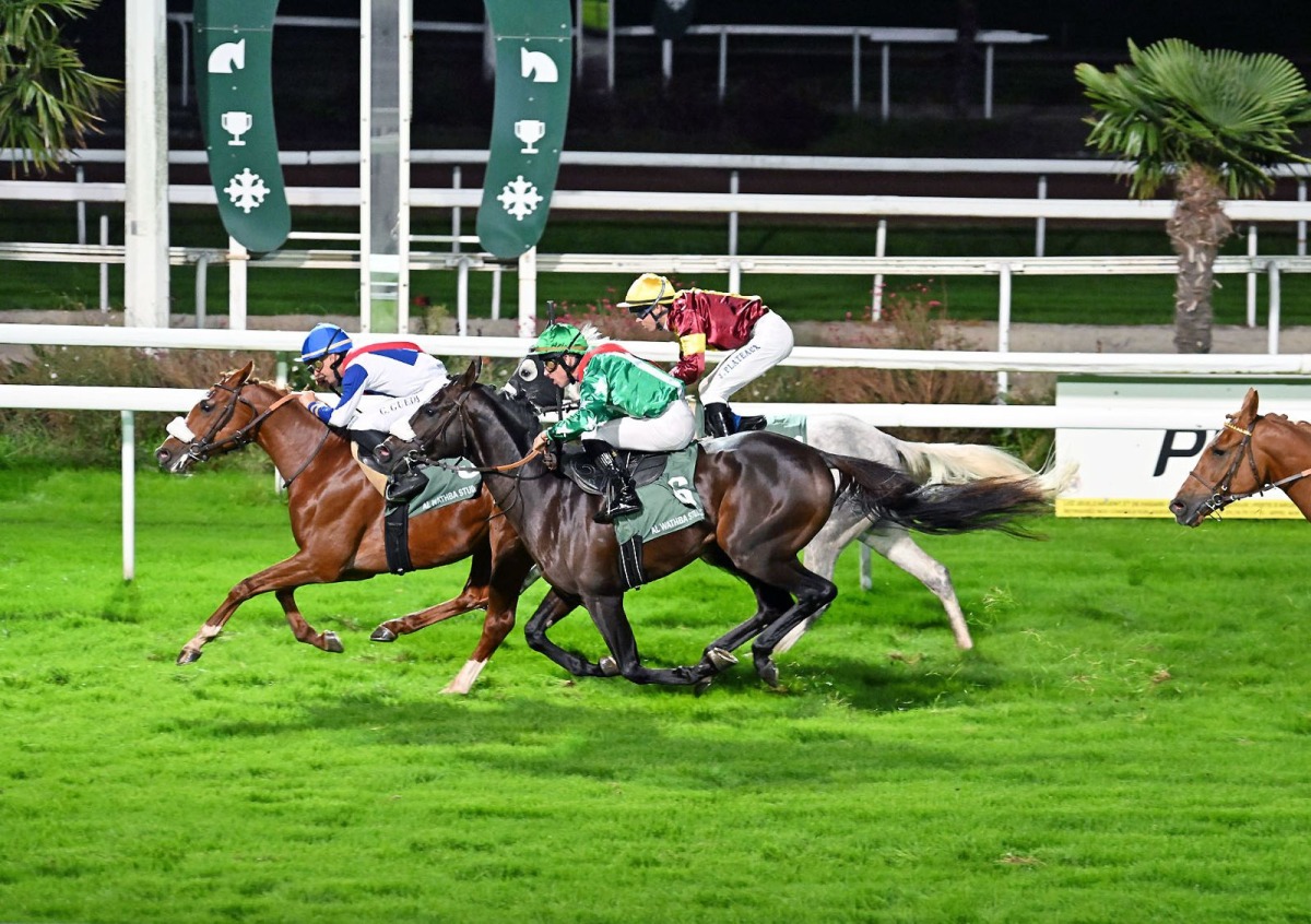 Nerci D claimed a half length victory in the race. 