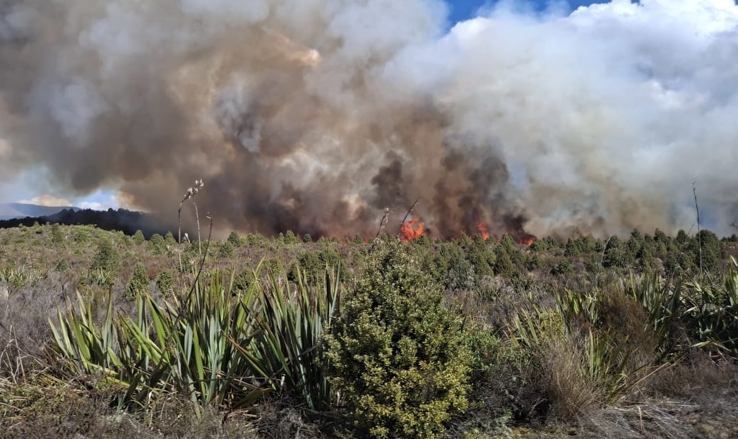 New Zealand battles massive forest fire in Tongariro National Park