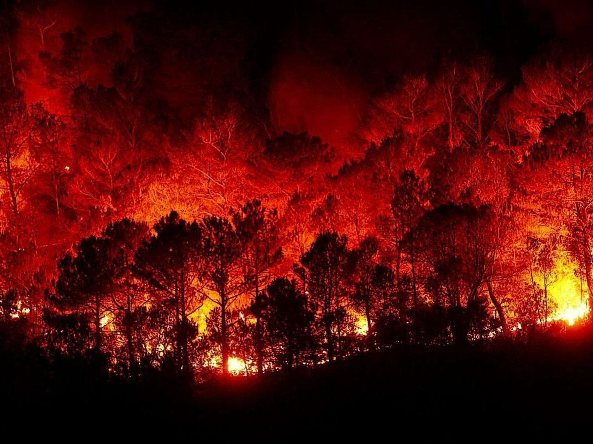 Wildfires destroy more than 15,000 hectares in Argentina Patagonia