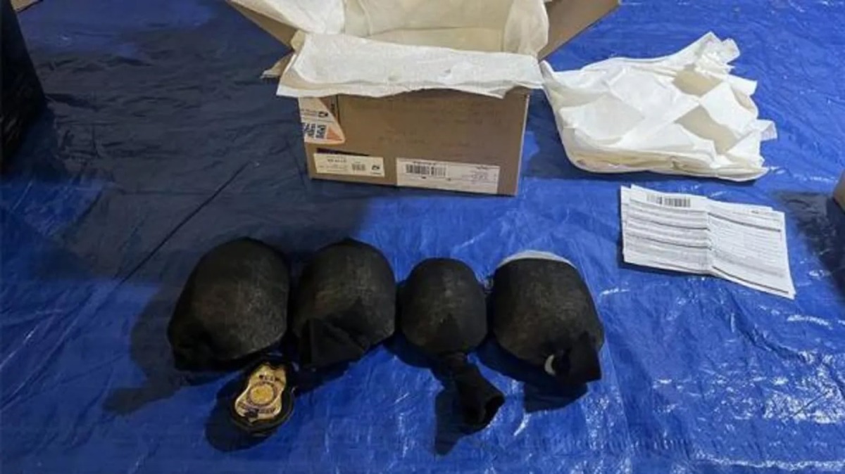 The turtles were tied in knotted socks when US officials found them (Photo from U.S. Fish and Wildlife Service)